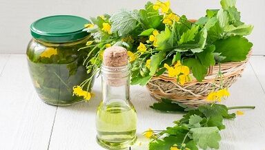 Celandine Decoction pro léčbu nehtových houby